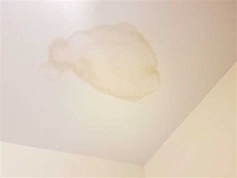 Damp Patch on Ceiling: Causes and Cures